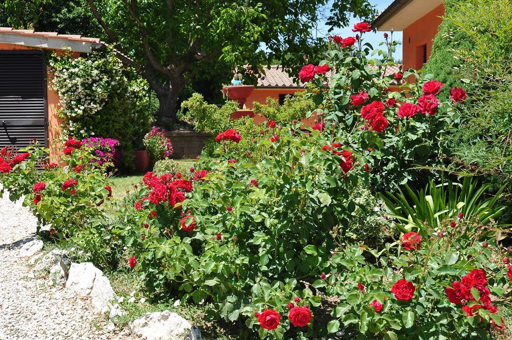 Rosemarie B&B Manciano Exteriör bild